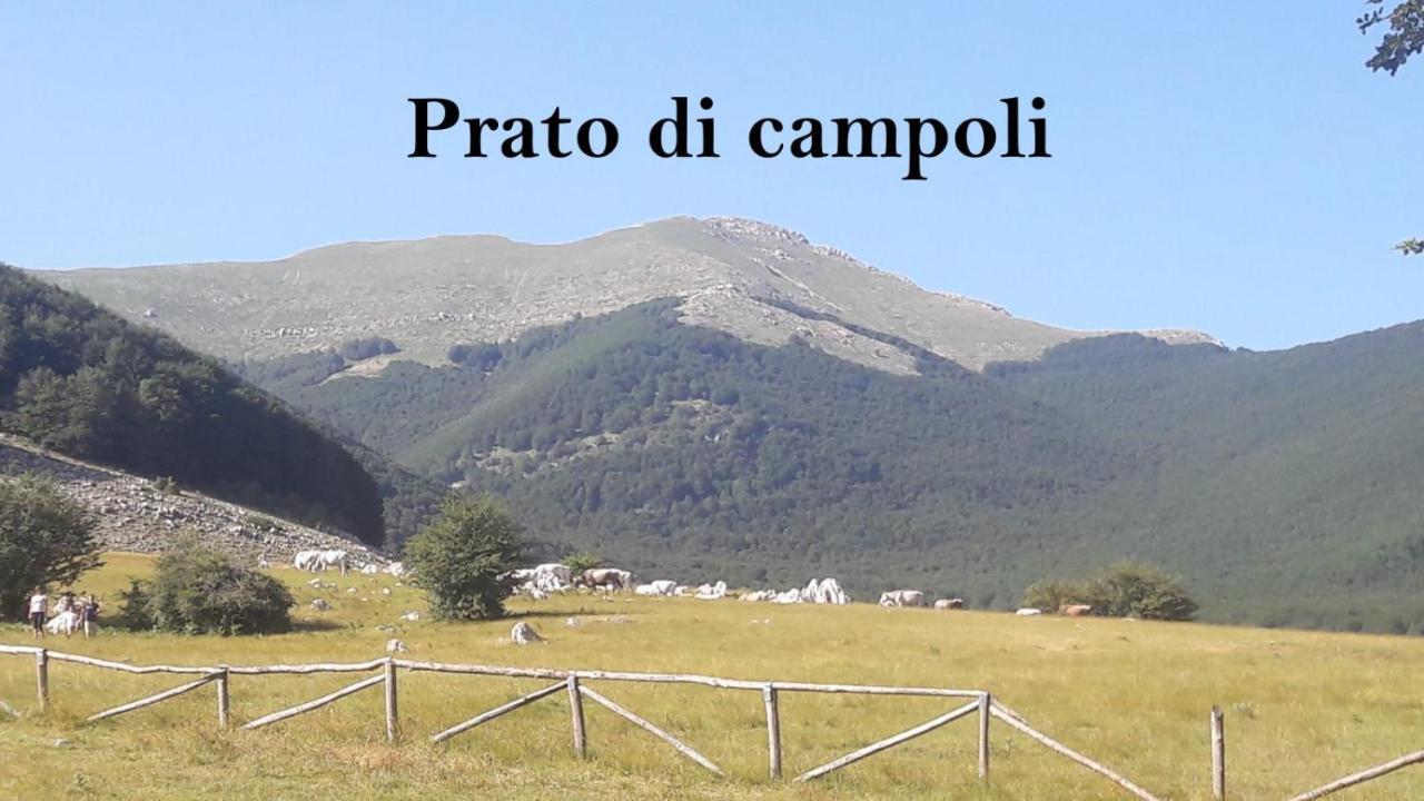 La Casina Gialla Veroli Exterior foto