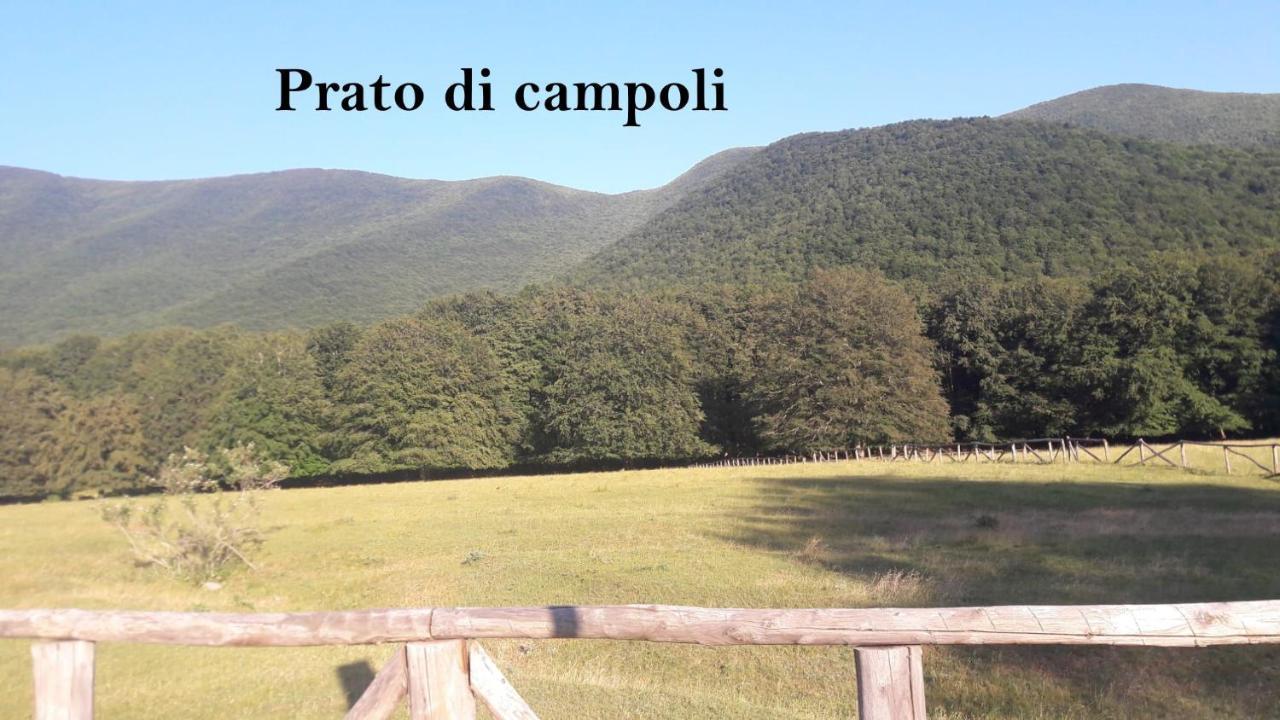 La Casina Gialla Veroli Exterior foto