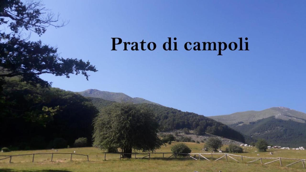 La Casina Gialla Veroli Exterior foto